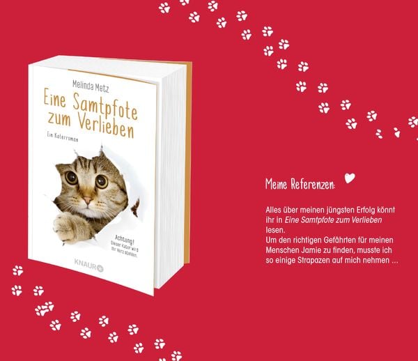 Produktbild: Eine Samtpfote stiehlt Herzen