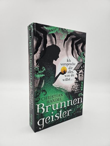 Produktbild: Brunnengeister – Ich verspreche dir alles, was du willst ...