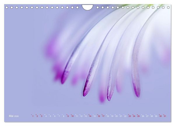 Produktbild: DEEP INSIDE - Bl&uuml;tenmakros (Wandkalender 2026 DIN A4 quer), CALVENDO Monatskalender