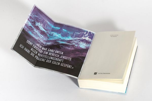 Produktbild: Das Eulentor