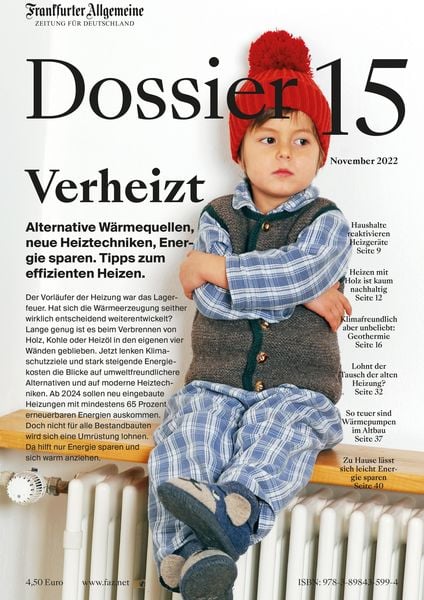 Produktbild: Verheizt