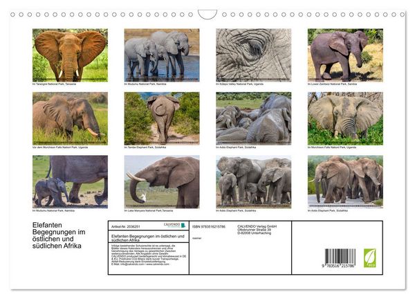 Produktbild: Elefanten Begegnungen im &ouml;stlichen und s&uuml;dlichen Afrika (Wandkalender 2026 DIN A3 quer), CALVENDO Monatskalender