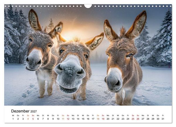 Produktbild: Esel - Humor mit langen Ohren (Wandkalender 2027 DIN A3 quer), CALVENDO Monatskalender