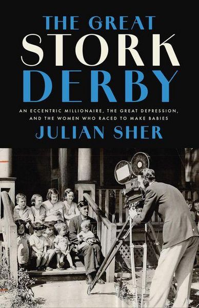 Produktbild: The Great Stork Derby
