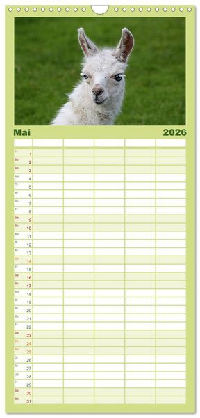 Produktbild: Familienplaner 2026 - Lama-Kalender mit 5 Spalten (Wandkalender, 21 x 45 cm) CALVENDO