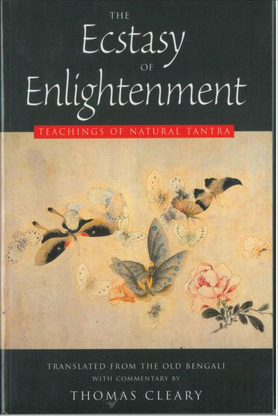 Produktbild: The Ecstasy of Enlightenment