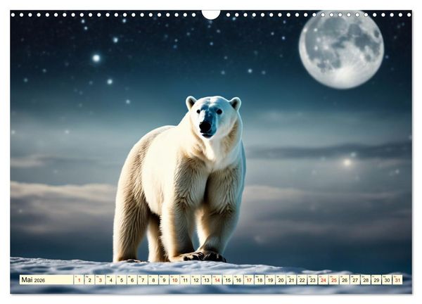 Produktbild: Eisb&auml;ren im Fokus (Wandkalender 2026 DIN A3 quer), CALVENDO Monatskalender