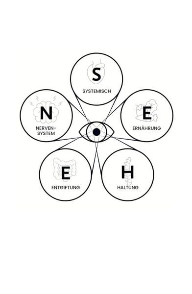 Produktbild: Das S.E.H.E.N. Prinzip.