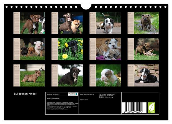 Produktbild: Bulldoggen-Kinder (Wandkalender 2026 DIN A4 quer), CALVENDO Monatskalender