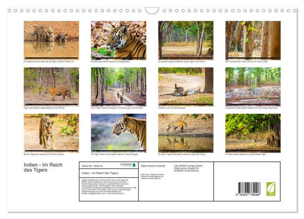 Produktbild: Indien - Im Reich des Tigers (Wandkalender 2026 DIN A3 quer), CALVENDO Monatskalender