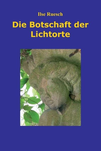 Produktbild: Die Botschaft der Lichtorte