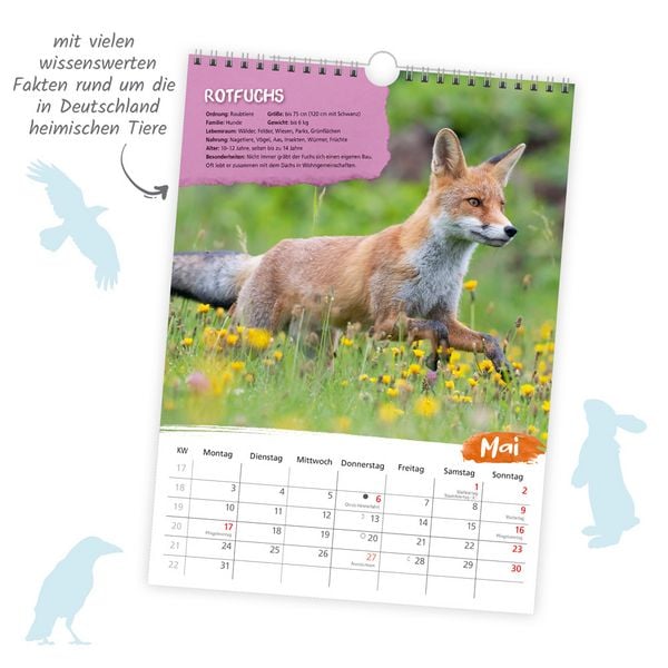 Produktbild: TR&Ouml;TSCH - Classickalender Heimische Tierwelt 2027