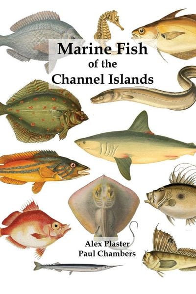 Produktbild: Marine Fish of the Channel Islands