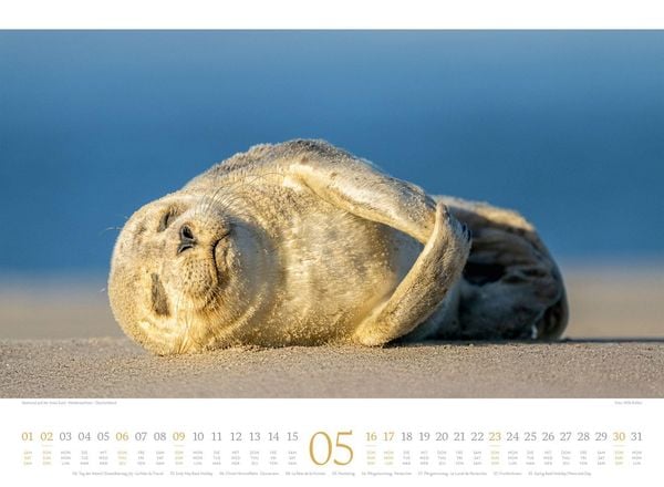 Produktbild: Tage am Meer Kalender 2027
