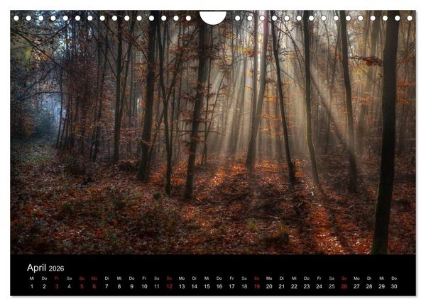 Produktbild: Waldkalender (Wandkalender 2026 DIN A4 quer), CALVENDO Monatskalender