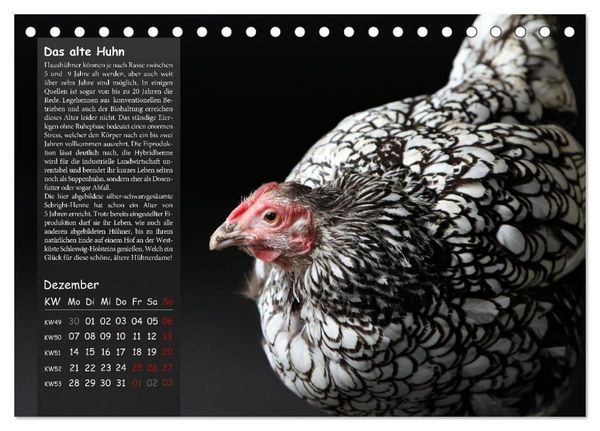 Produktbild: Von der Einzigartigkeit der H&uuml;hner 2026 (Tischkalender 2026 DIN A5 quer), CALVENDO Monatskalender