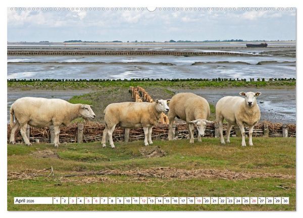 Produktbild: Die Nordsee zwischen Stade und Pellworm (hochwertiger Premium Wandkalender 2026 DIN A2 quer), Kunstdruck in Hochglanz