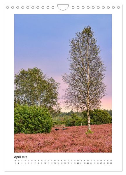 Produktbild: Heidespazierg&auml;nge (Wandkalender 2026 DIN A4 hoch), CALVENDO Monatskalender