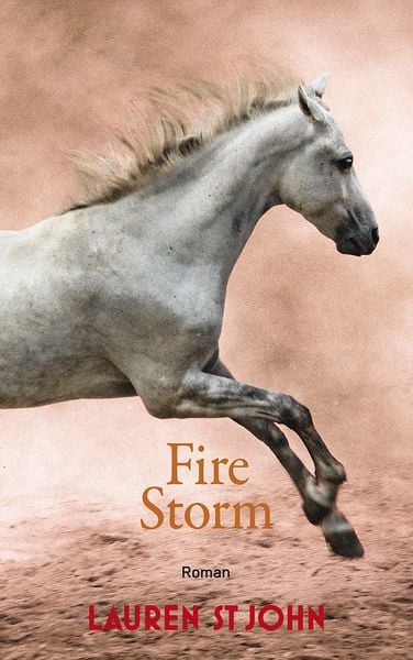 Produktbild: Fire Storm