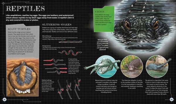 Produktbild: The Spectacular Science of the Living World