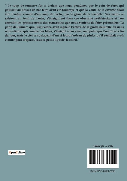 Produktbild: L'homme qui a vu le diable