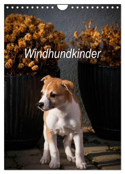 Produktbild: Windhundkinder (Wandkalender 2026 DIN A4 hoch), CALVENDO Monatskalender
