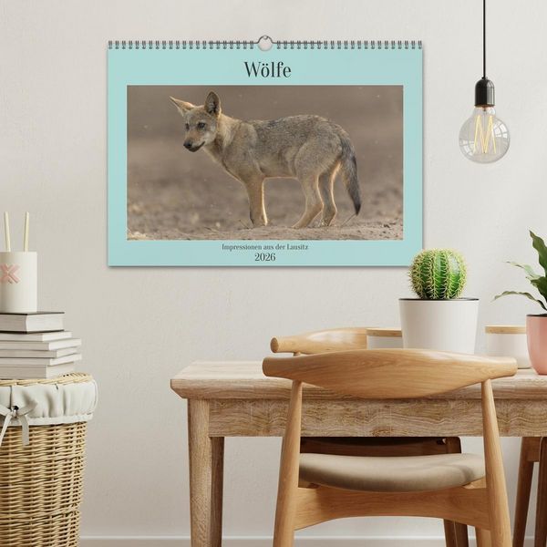 Produktbild: W&ouml;lfe, Impressionen aus der Lausitz (Wandkalender 2026 DIN A3 quer), CALVENDO Monatskalender