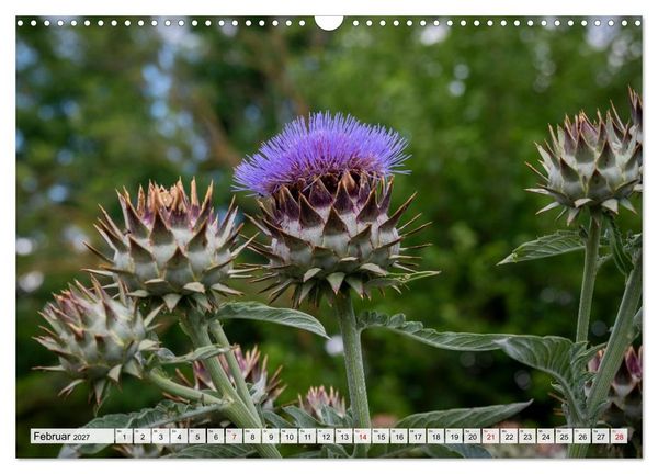 Produktbild: Heimatmomente - L&auml;ndliche Impressionen (Wandkalender 2027 DIN A3 quer), CALVENDO Monatskalender