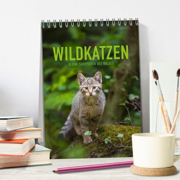 Produktbild: Wildkatzen - Kleine Samtpfoten des Waldes (Tischkalender 2026 DIN A5 hoch), CALVENDO Monatskalender