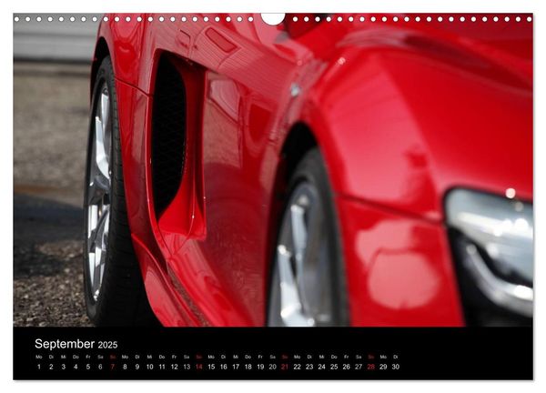 Produktbild: Vollblut-Sportler (Wandkalender 2025 DIN A3 quer), CALVENDO Monatskalender