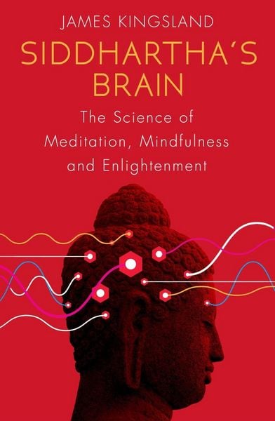 Produktbild: Siddhartha's Brain