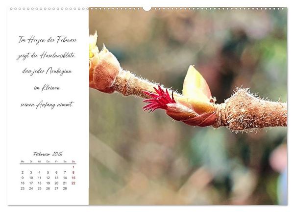 Produktbild: Der Atem der Stille - Achtsame Augenblicke in der Natur (hochwertiger Premium Wandkalender 2026 DIN A2 quer), Kunstdruck in Hochglanz