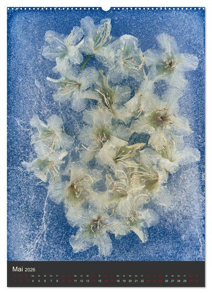 Produktbild: Magische Eisblumen (hochwertiger Premium Wandkalender 2026 DIN A2 hoch), Kunstdruck in Hochglanz