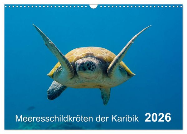 Produktbild: Meeresschildkr&ouml;ten der Karibik (Wandkalender 2026 DIN A3 quer), CALVENDO Monatskalender