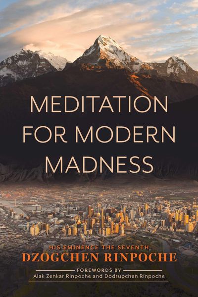 Produktbild: Meditation for Modern Madness