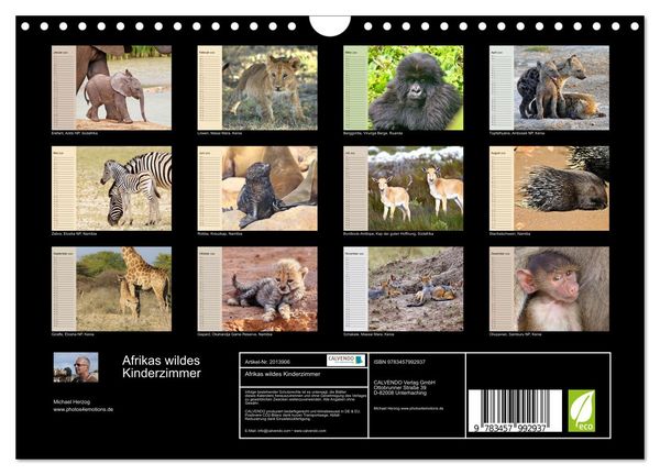 Produktbild: Afrikas wildes Kinderzimmer (Wandkalender 2026 DIN A4 quer), CALVENDO Monatskalender
