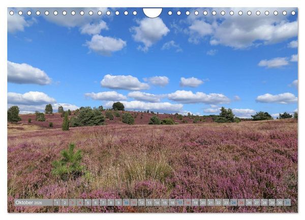 Produktbild: L&uuml;neburger Heide - Faszinierend sch&ouml;n (Wandkalender 2026 DIN A4 quer), CALVENDO Monatskalender