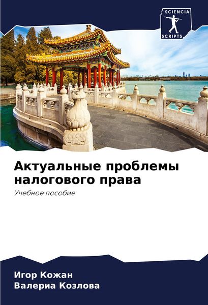 Produktbild: Aktual'nye problemy nalogowogo prawa