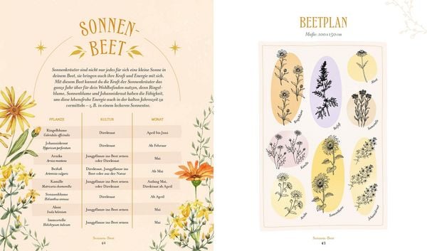 Produktbild: Die Magie der Natur: Hexenkr&auml;uter im Hochbeet