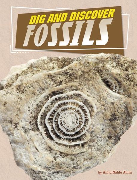 Produktbild: Dig and Discover Fossils
