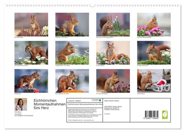 Produktbild: Eichh&ouml;rnchen Momentaufnahmen f&uuml;rs Herz (hochwertiger Premium Wandkalender 2026 DIN A2 quer), Kunstdruck in Hochglanz