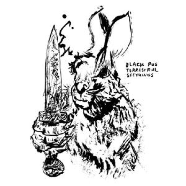 Produktbild: Terrestrial Seethings