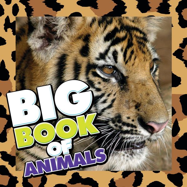 Produktbild: Big Book of Animals