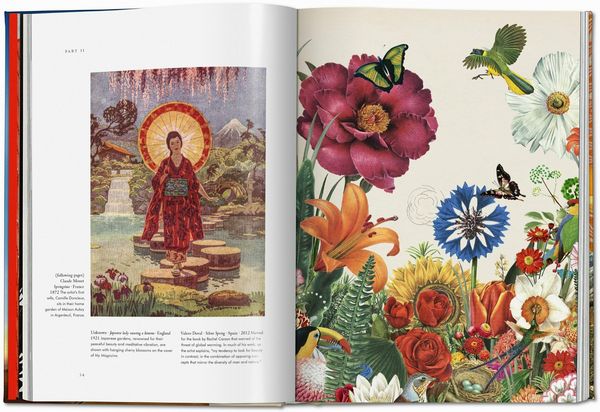 Produktbild: Pflanzen-Magie. Bibliothek der Esoterik