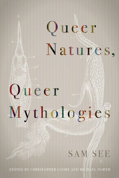 Produktbild: Queer Natures, Queer Mythologies