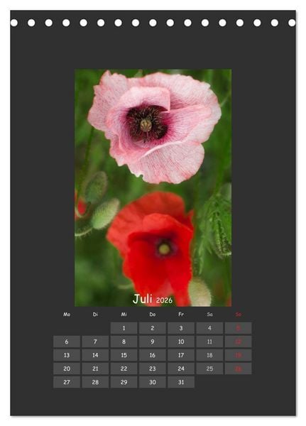 Produktbild: Mohn (Tischkalender 2026 DIN A5 hoch), CALVENDO Monatskalender