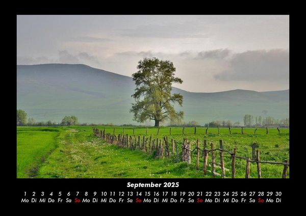 Produktbild: B&auml;ume 2025 Fotokalender DIN A3
