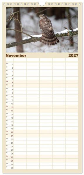 Produktbild: Familienplaner 2027 - Heimische Eulen und Greife mit 5 Spalten (Wandkalender, 21 x 45 cm) CALVENDO