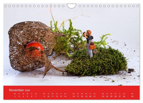 Produktbild: Neue Miniaturen - Klein ganz gro&szlig; 2.0 (Wandkalender 2026 DIN A4 quer), CALVENDO Monatskalender