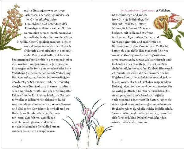 Produktbild: Der kleine Schmetterlingsgarten